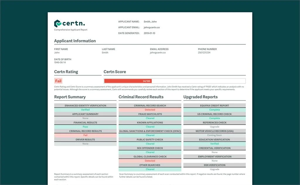 Background background checks report example