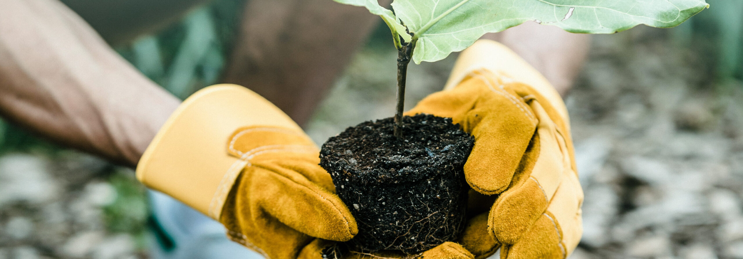 ALL Non profit header scaled