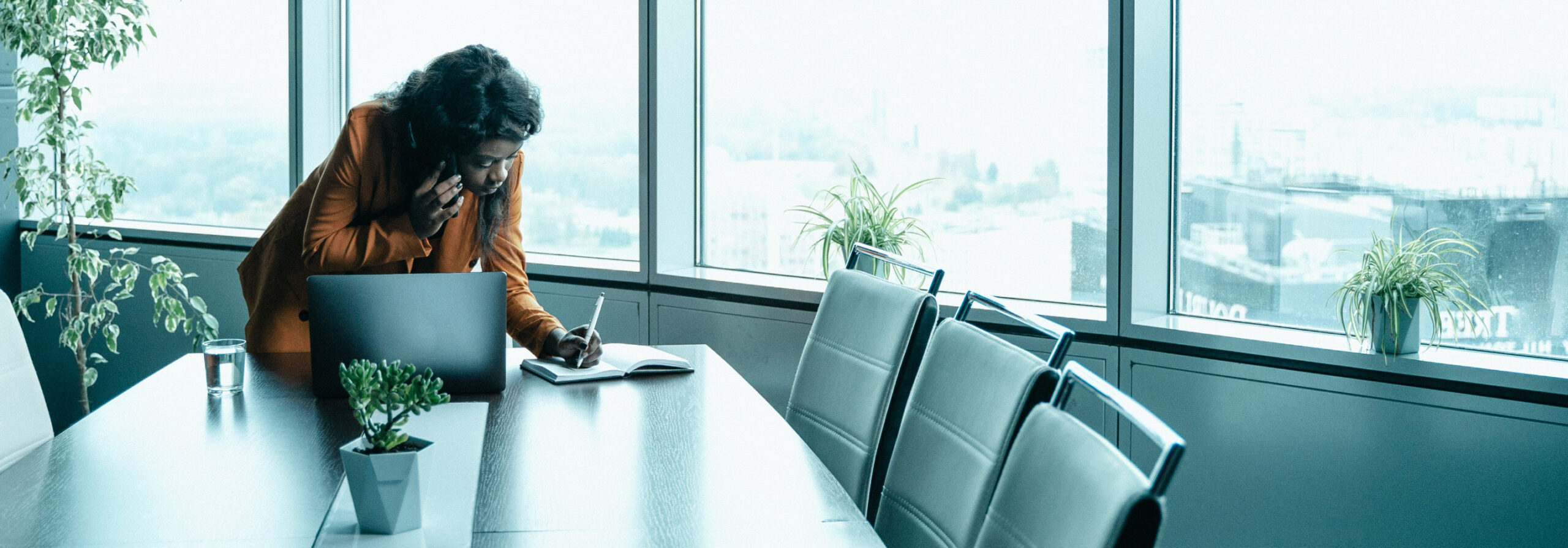 EMEA Directorship header scaled