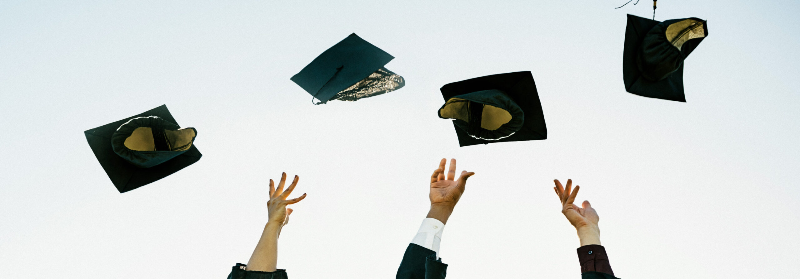 NAM Education verification header scaled