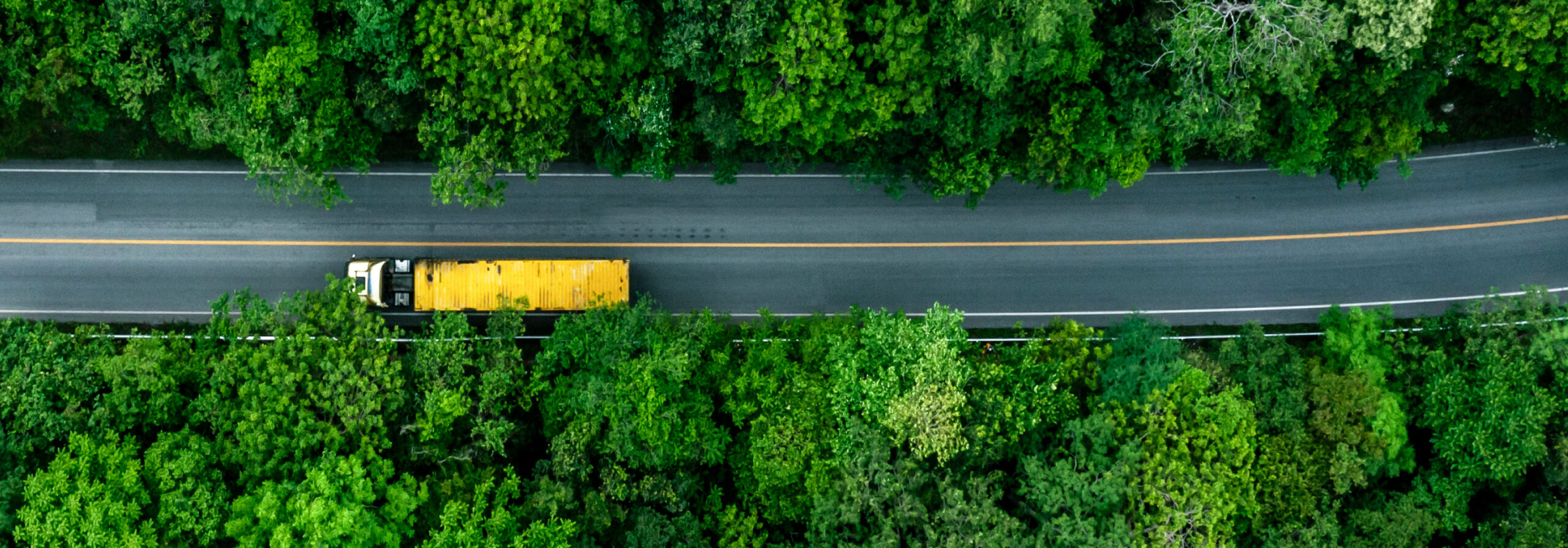 NAM Motor vehicle header scaled